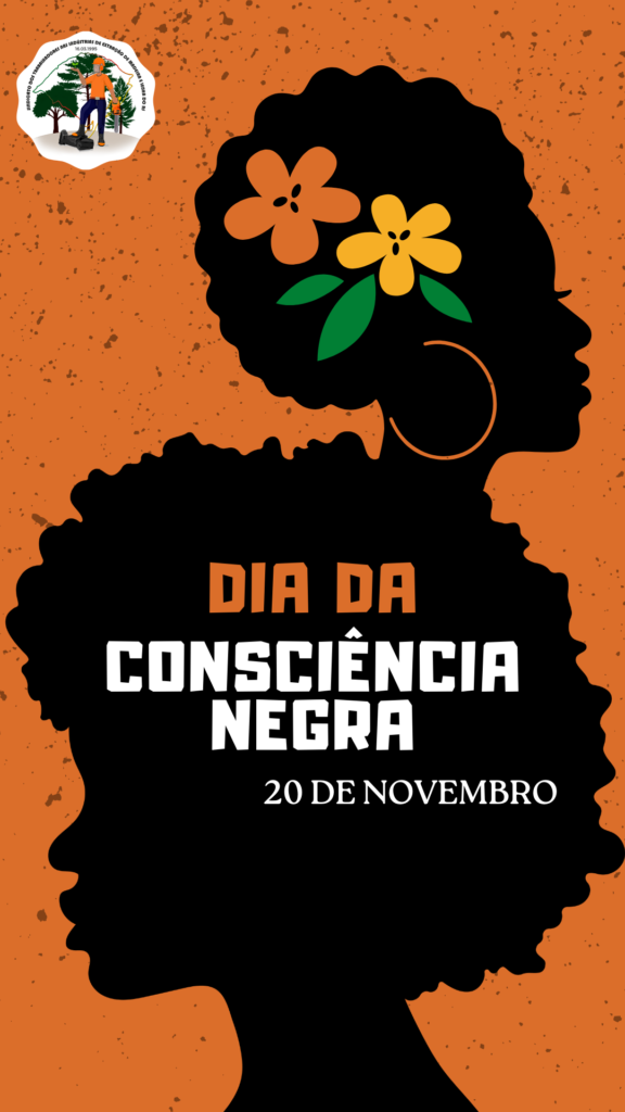 20 de novembro - Consciência negra